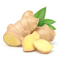 fresh-ginger-rhizome-with-sliced-green-leaves-isolated-white_252965-694