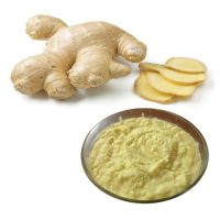 non-dried-ginger-paste-616